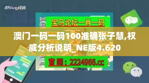 澳门一码一码100准确张子慧,权威分析说明_NE版4.620