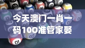 今天澳门一肖一码10O准管家娶吗,数据解析支持设计_创意版4.277