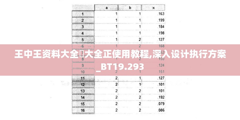 王中王资料大全枓大全正使用教程,深入设计执行方案_BT19.293