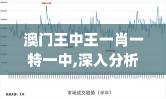 澳门王中王一肖一特一中,深入分析定义策略_W1.341