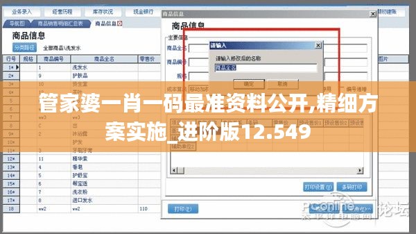 管家婆一肖一码最准资料公开,精细方案实施_进阶版12.549