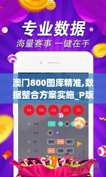 澳门800图库精准,数据整合方案实施_P版8.729