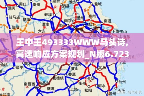 王中王493333WWW马头诗,高速响应方案规划_N版6.723