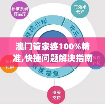 澳门管家婆100%精准,快捷问题解决指南_9DM1.145