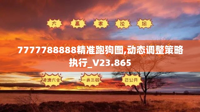 7777788888精准跑狗图,动态调整策略执行_V23.865