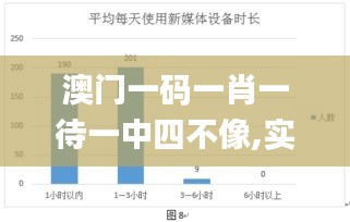 澳门一码一肖一待一中四不像,实地数据分析方案_DP2.430