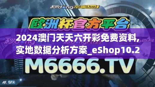 2024澳门天天六开彩免费资料,实地数据分析方案_eShop10.246