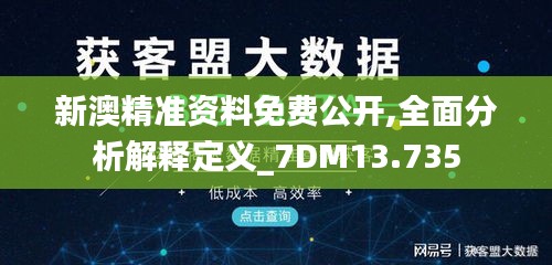 新澳精准资料免费公开,全面分析解释定义_7DM13.735