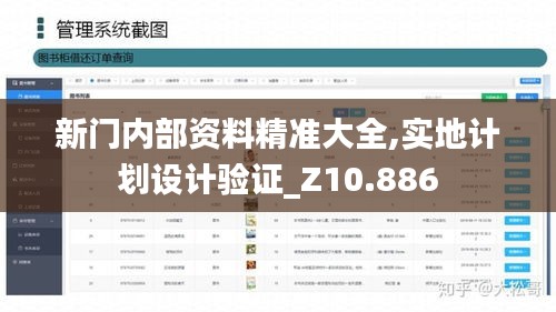 新门内部资料精准大全,实地计划设计验证_Z10.886