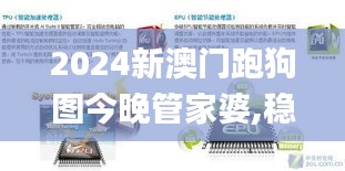 2024新澳门跑狗图今晚管家婆,稳定设计解析方案_专属版9.921