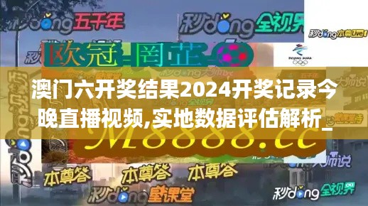 澳门六开奖结果2024开奖记录今晚直播视频,实地数据评估解析_Executive14.772