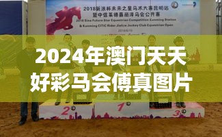 2024年澳门天天好彩马会傅真图片：未来展望与马赛的无限激情