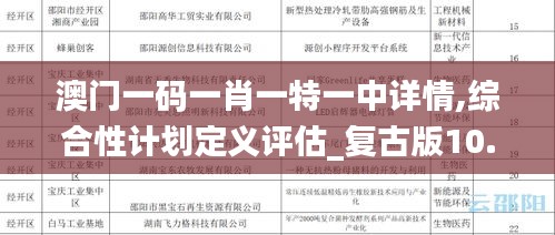 澳门一码一肖一特一中详情,综合性计划定义评估_复古版10.249