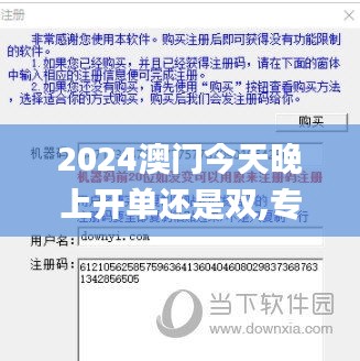 2024澳门今天晚上开单还是双,专业调查解析说明_AP4.872