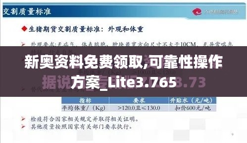 新奥资料免费领取,可靠性操作方案_Lite3.765