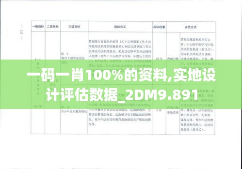 一码一肖100%的资料,实地设计评估数据_2DM9.891