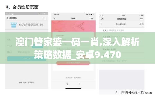 澳门管家婆一码一肖,深入解析策略数据_安卓9.470