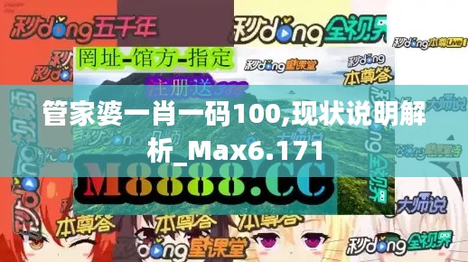 管家婆一肖一码100,现状说明解析_Max6.171