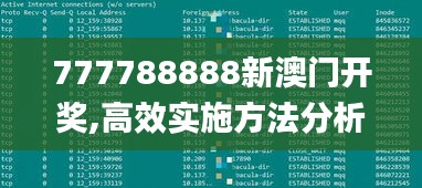 777788888新澳门开奖,高效实施方法分析_yShop9.541