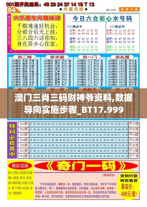 澳门三肖三码财神爷资料,数据导向实施步骤_BT17.999