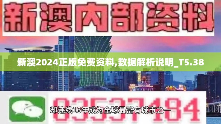 新澳2024正版免费资料,数据解析说明_T5.380