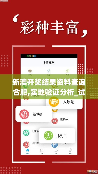 新澳开奖结果资料查询合肥,实地验证分析_试用版2.800