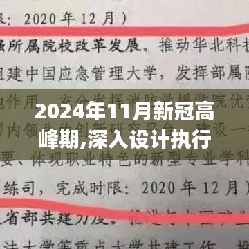 2024年11月新冠高峰期,深入设计执行方案_桌面版1.326