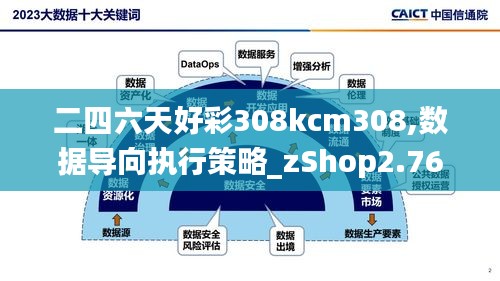 二四六天好彩308kcm308,数据导向执行策略_zShop2.760