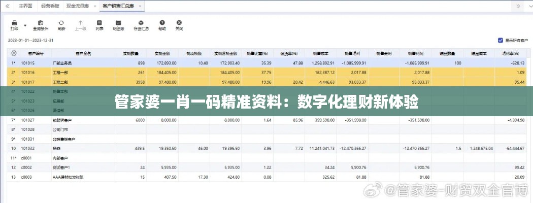 管家婆一肖一码精准资料：数字化理财新体验