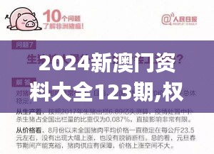 2024新澳门资料大全123期,权威诠释推进方式_1440p3.362