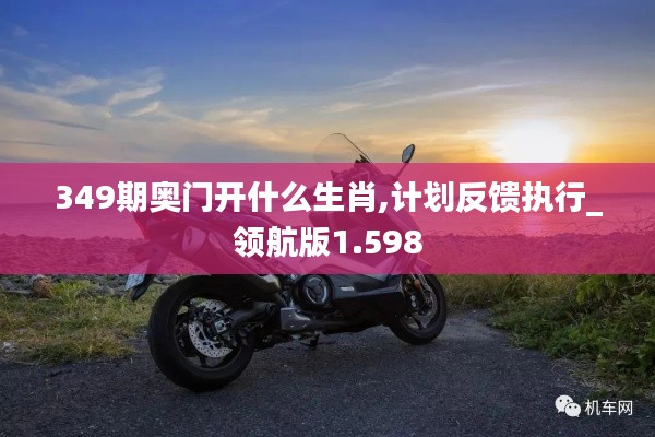 349期奥门开什么生肖,计划反馈执行_领航版1.598