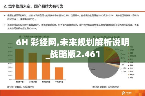 6H 彩经网,未来规划解析说明_战略版2.461