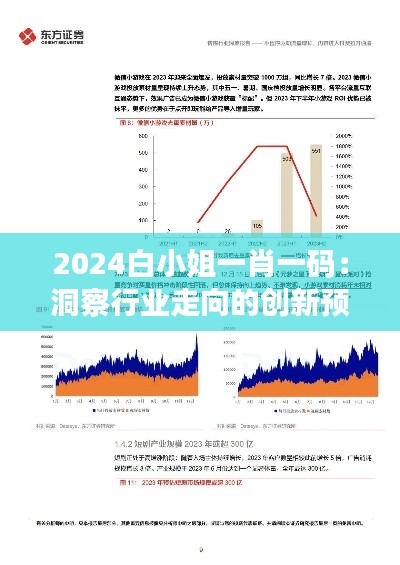 2024白小姐一肖一码：洞察行业走向的创新预测