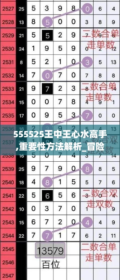 555525王中王心水高手,重要性方法解析_冒险款10.935