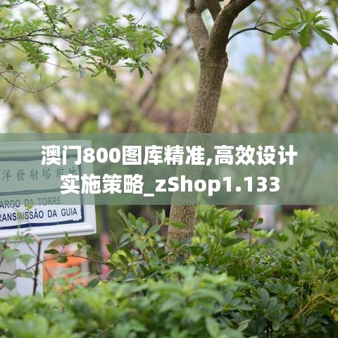 澳门800图库精准,高效设计实施策略_zShop1.133