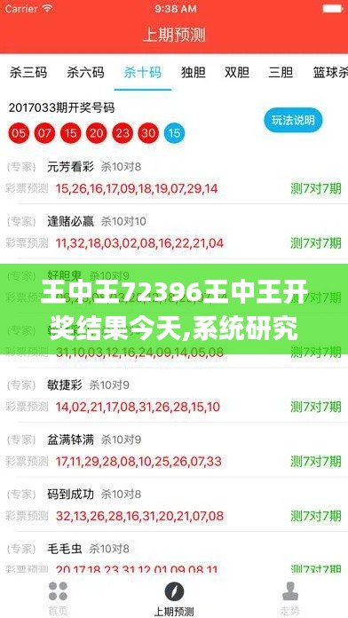 王中王72396王中王开奖结果今天,系统研究解释定义_Q7.574