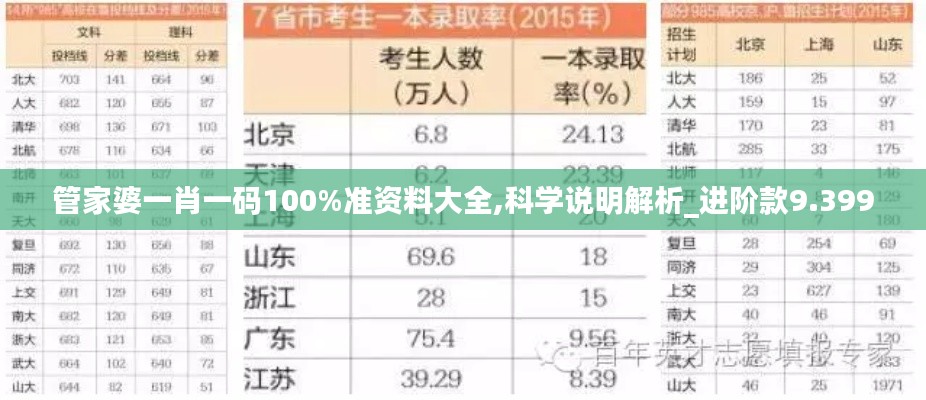 管家婆一肖一码100%准资料大全,科学说明解析_进阶款9.399