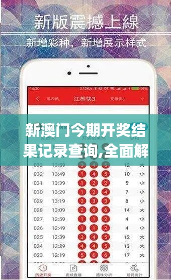 新澳门今期开奖结果记录查询,全面解析说明_GM版5.839