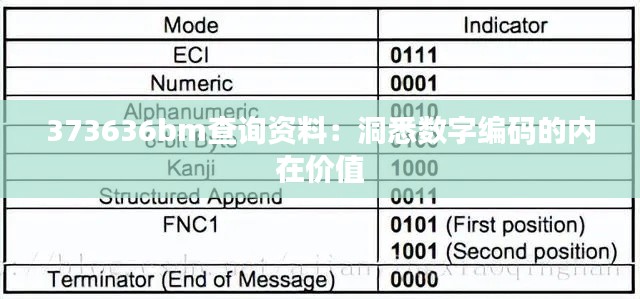 373636bm查询资料：洞悉数字编码的内在价值