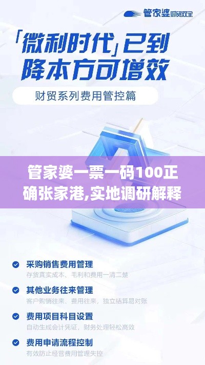 管家婆一票一码100正确张家港,实地调研解释定义_VR1.133