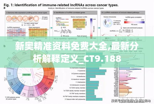 新奥精准资料免费大全,最新分析解释定义_CT9.188