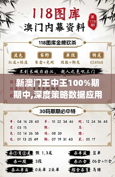 新澳门王中王100%期期中,深度策略数据应用_特供版5.124